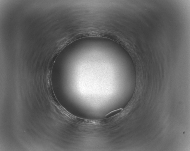 X0000080700768200612151314