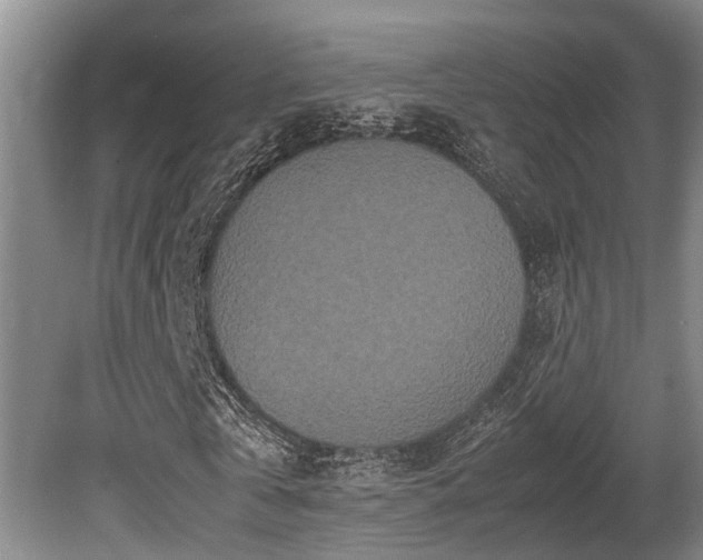 X0000080700769200612151314