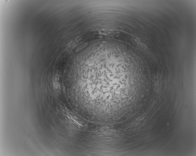 X0000080700770200612151314