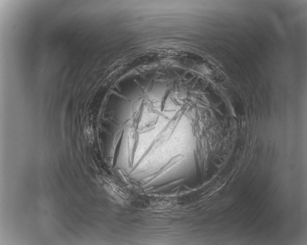 X0000080700771200612151314