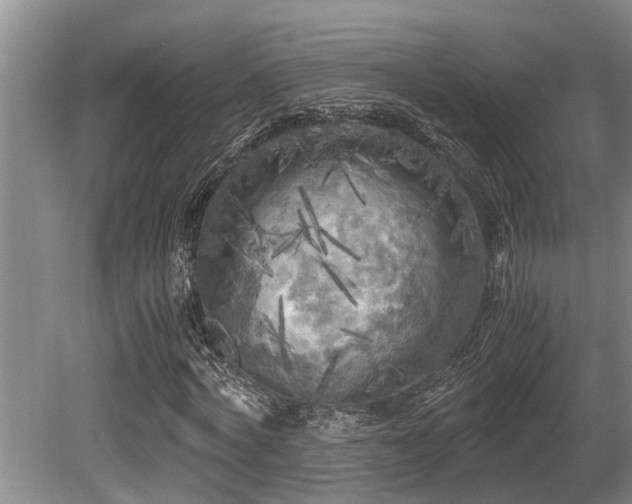 X0000080700772200612151314