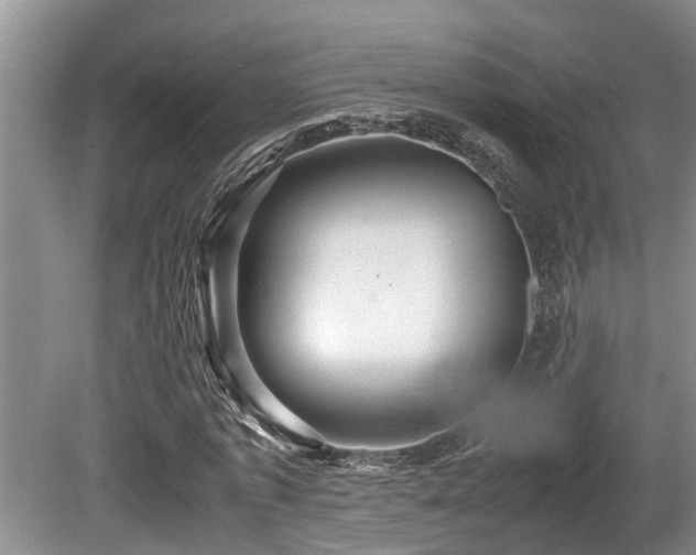 X0000080700773200612151314