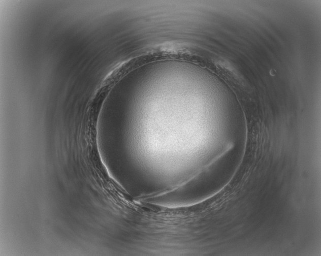 X0000080700776200612151313