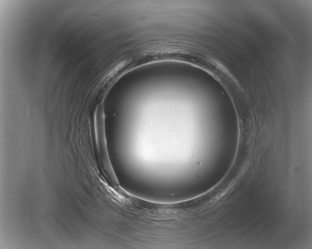 X0000080700777200612151313