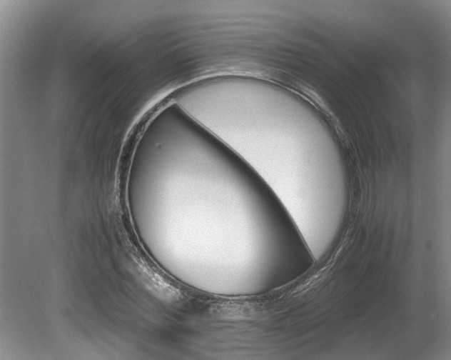 X0000080700780200612151313