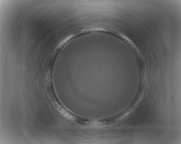 X0000080700785200612151313
