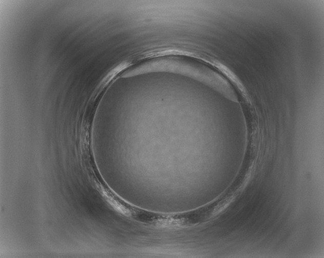 X0000080700793200612151313