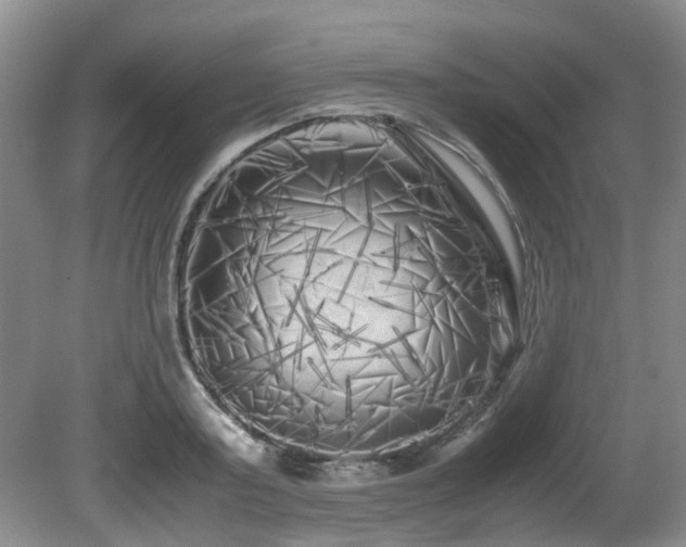 X0000080700795200612151313
