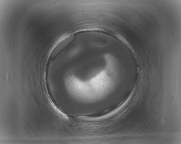 X0000080700797200612151313