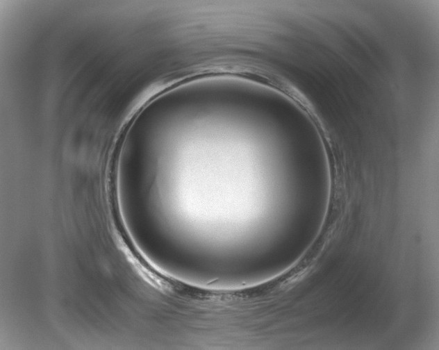 X0000080700803200612151313