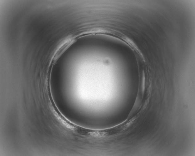 X0000080700805200612151313