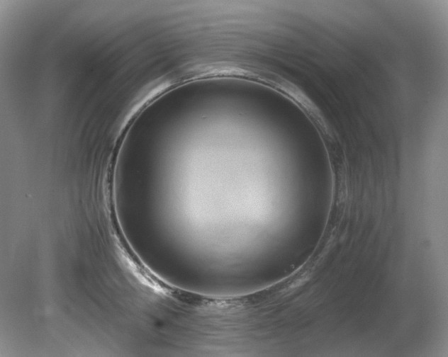 X0000080700806200612151313