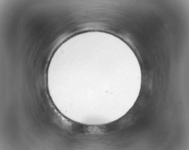 X0000080700807200612151313
