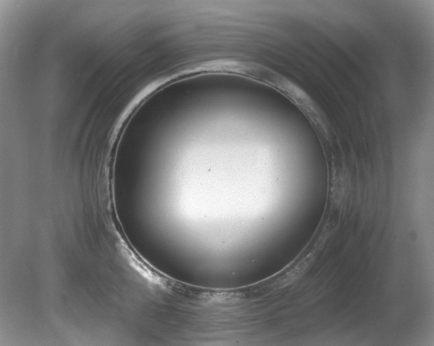 X0000080700808200612151313