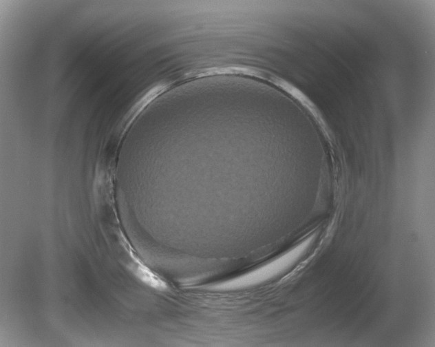X0000080700809200612151313
