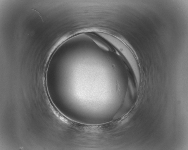 X0000080700813200612151313