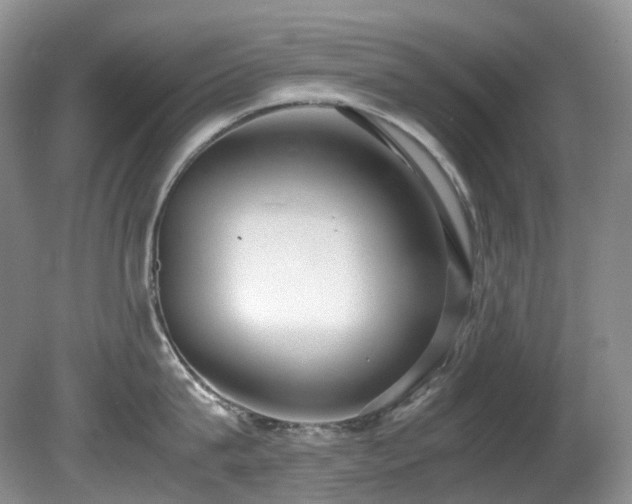 X0000080700815200612151313