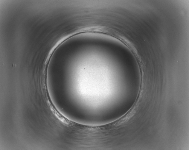 X0000080700816200612151313