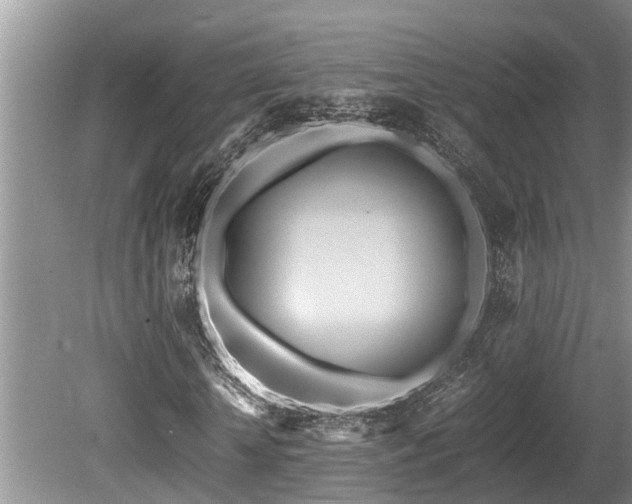 X0000080700818200612151312