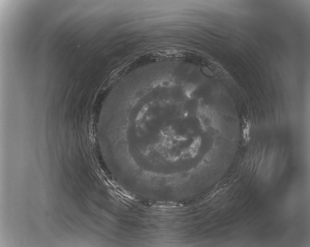 X0000080700819200612151312
