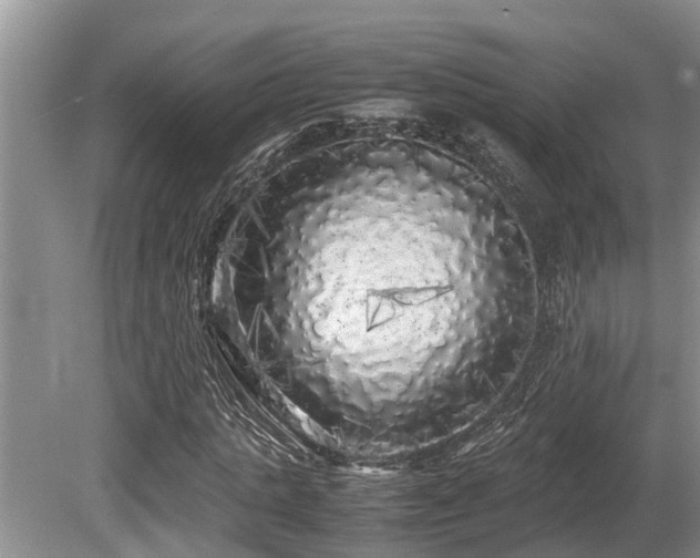 X0000080700821200612151312