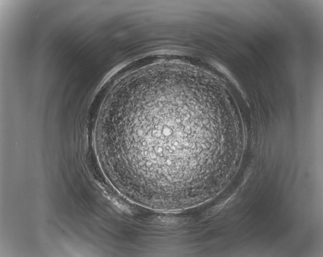 X0000080700829200612151312