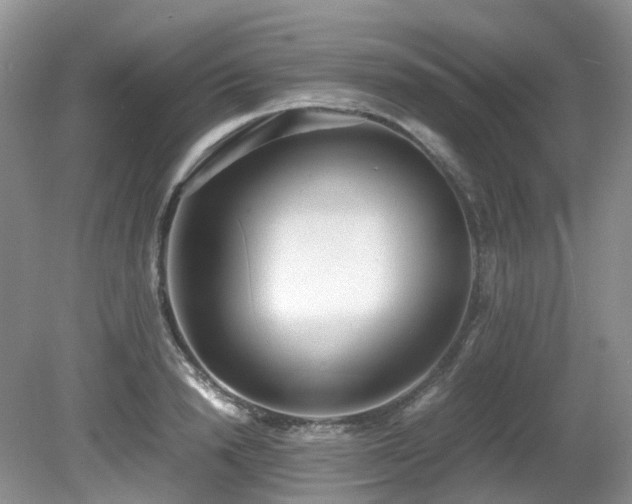 X0000080700846200612151312