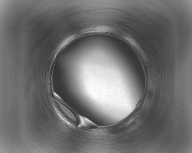 X0000080700850200612151313