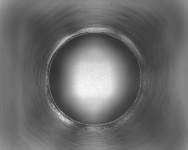 X0000080700852200612151313