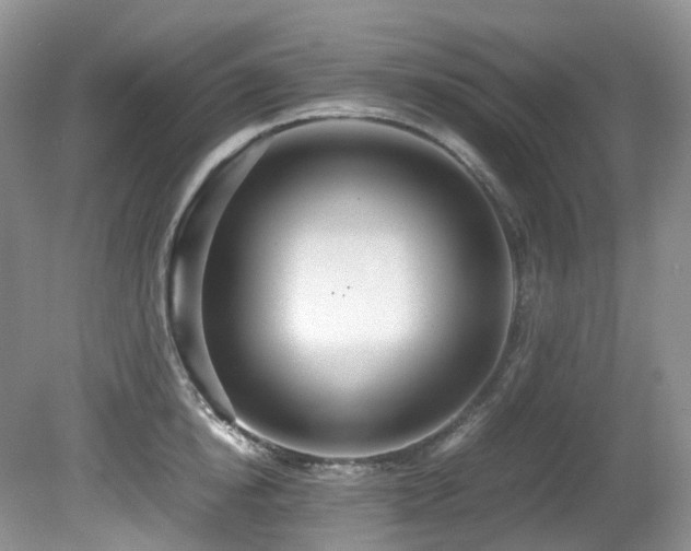 X0000080700854200612151313