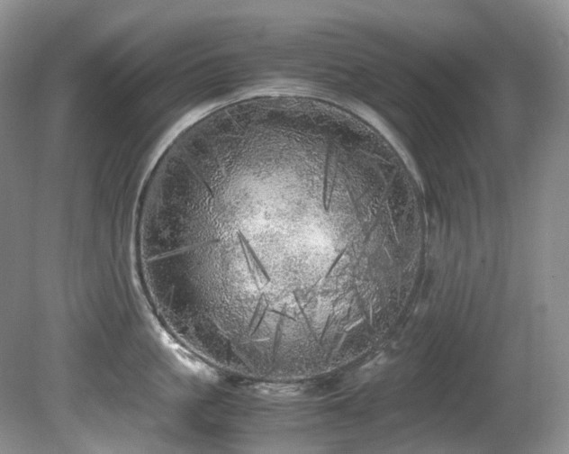 X0000080700861200612151313