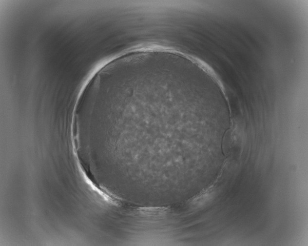 X0000080700863200612151313