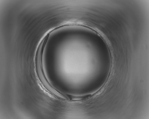 X0000080700864200612151313