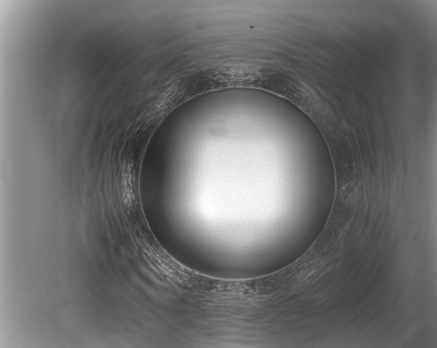 X0000080700866200612151312