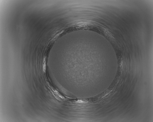 X0000080700868200612151312