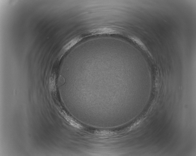 X0000080700873200612151312