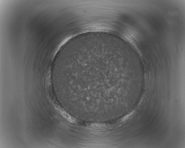 X0000080700875200612151312