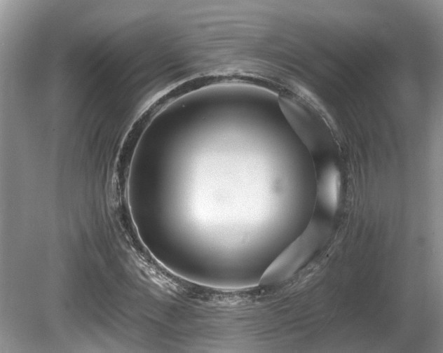 X0000080700876200612151312