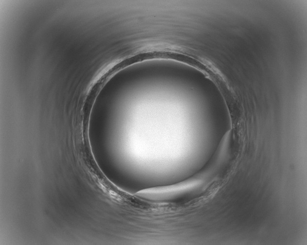 X0000080700877200612151312