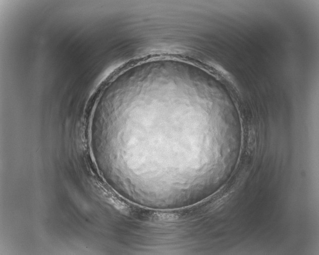 X0000080700878200612151312