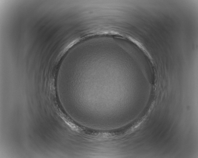 X0000080700881200612151312