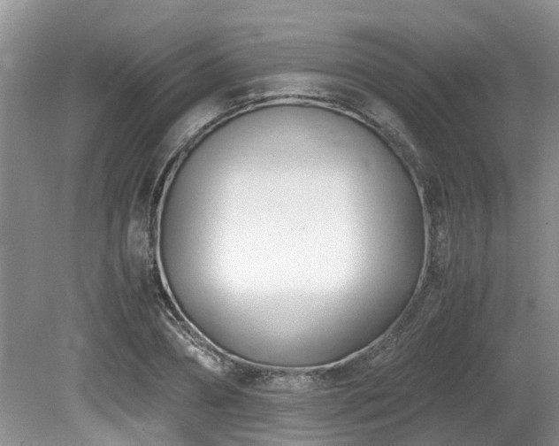 X0000080700882200612151312