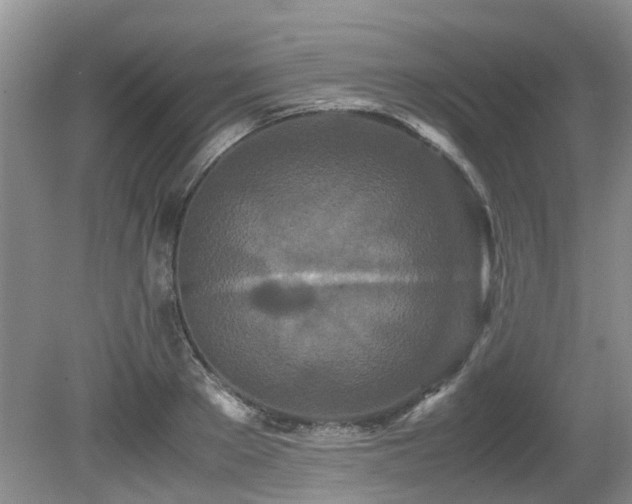 X0000080700889200612151312