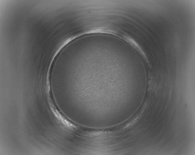 X0000080700892200612151312