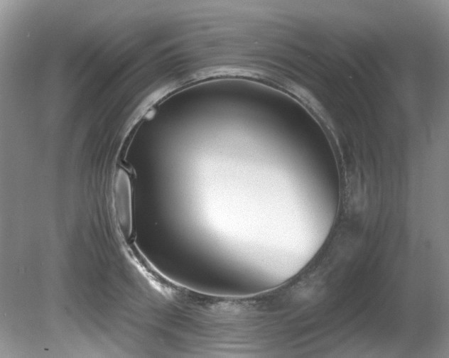 X0000080700898200612151311
