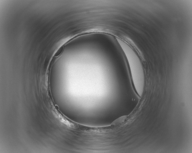 X0000080700900200612151311