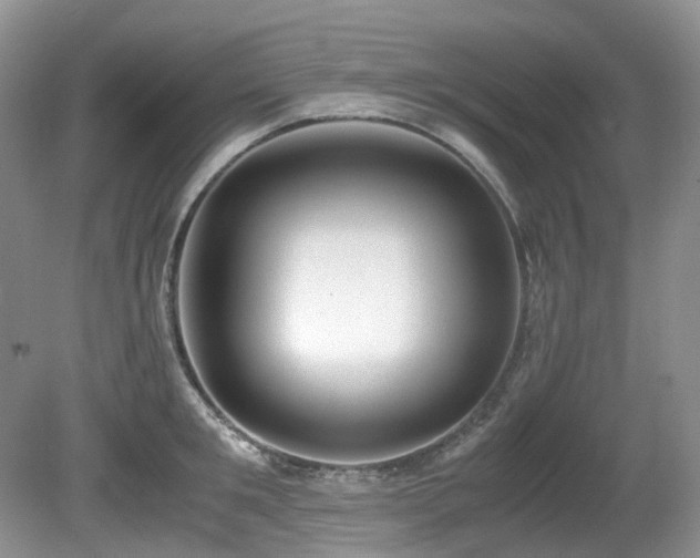 X0000080700901200612151311