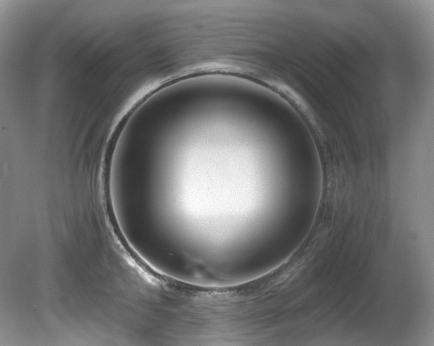 X0000080700902200612151311