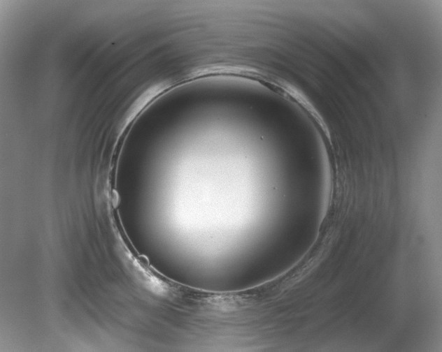 X0000080700906200612151311
