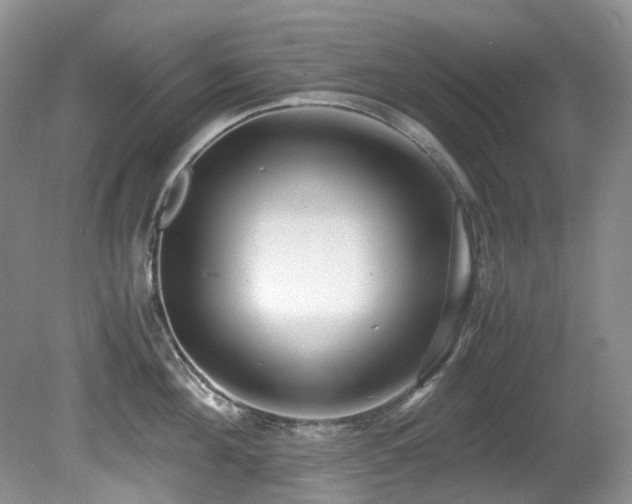 X0000080700908200612151311